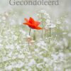 Gecondoleerd Kaart