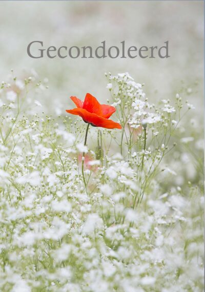 Gecondoleerd Kaart
