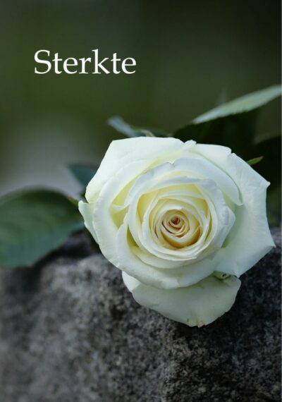 Sterkte Kaart
