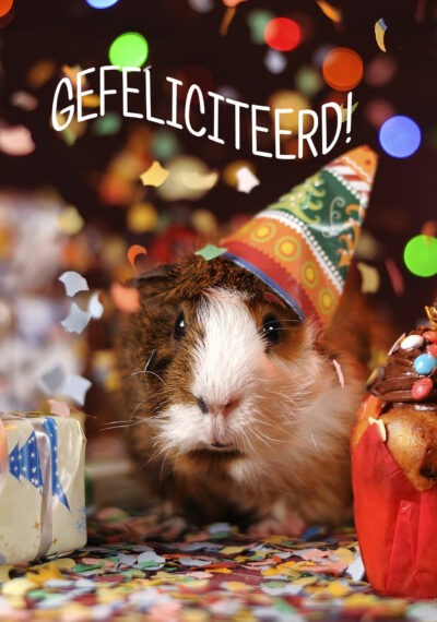 Gefeliciteerd Kaart