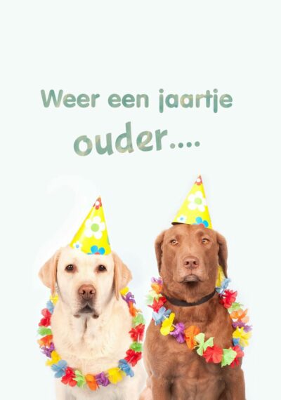 Weer een jaartje ouder Kaart