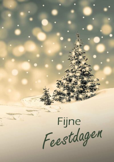fijne feestdagen kaart
