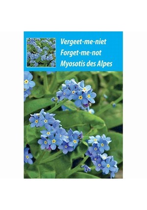Vergeet-Me-Niet Bloemenzakje