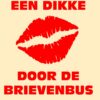 een dikke kus door de brievenbus kaart