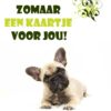zomaar een kaartje voor jou kaart