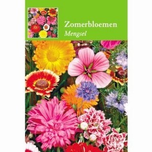 Zomerbloemen