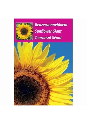 Reuzenzonnebloem Bloemenzakje