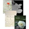 Set van 4 condoleancekaarten plus envelop