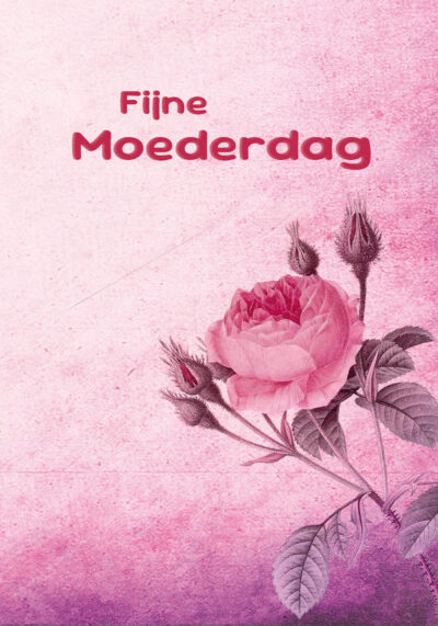 Fijne moederdag