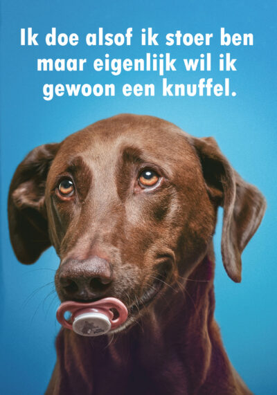 Ik doe alsof ik stoer ben maar eigenlijk wil ik gewoon een knuffel