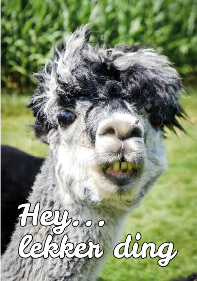 Hey... lekker ding